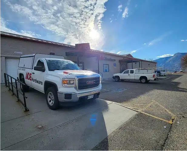 Ace Delivery Truck