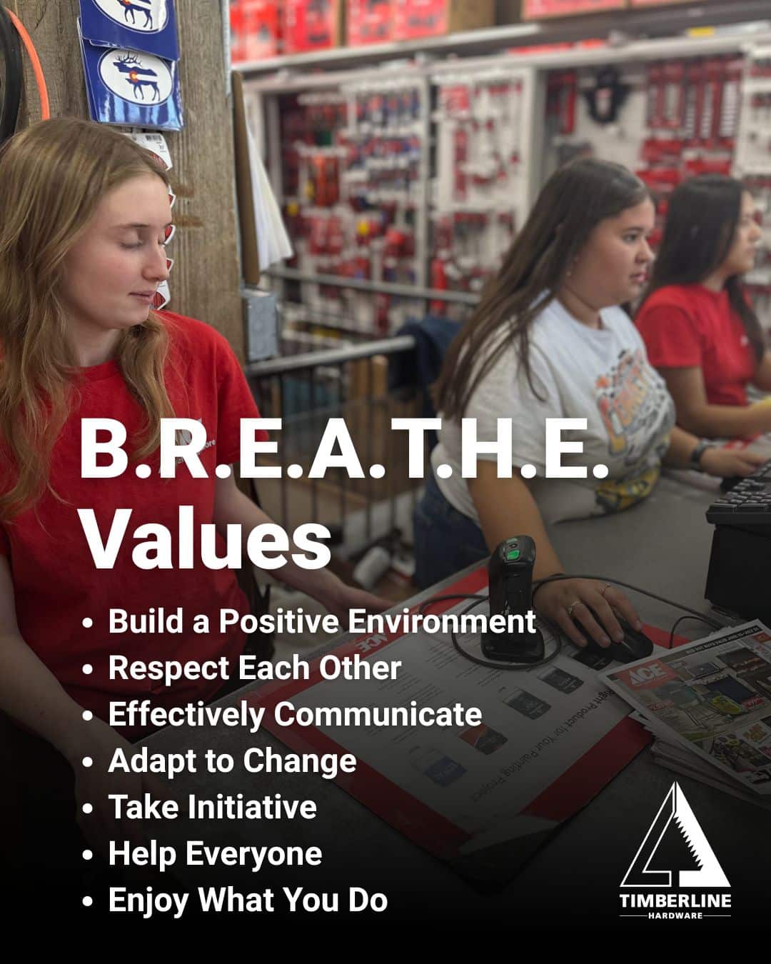 B.R.E.A.T.H.E. Values Graphic