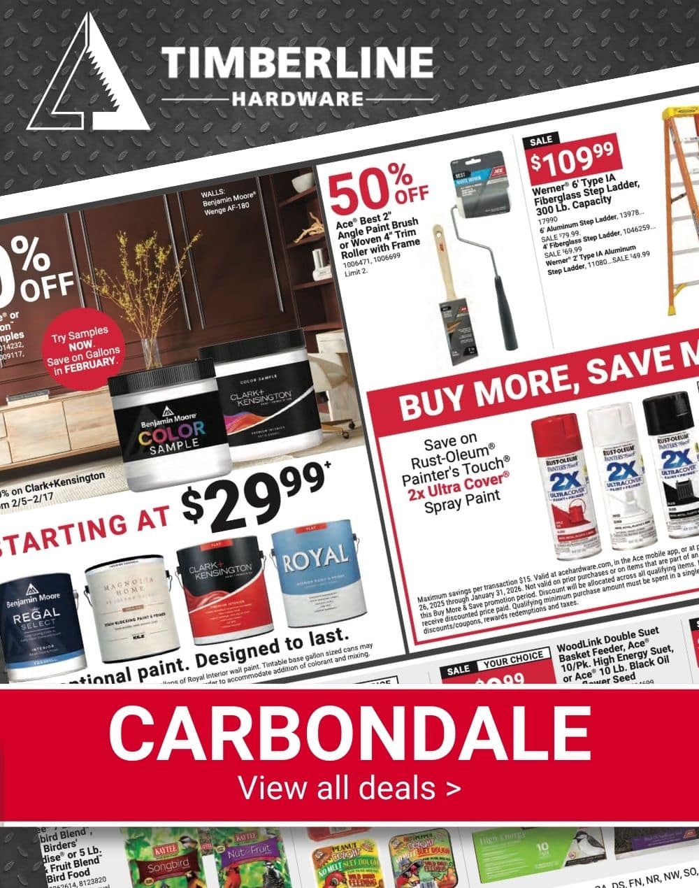 Timberline Ace Hardware Carbondale Red Hot Buys flyer highlighting paint supplies, ladders, spray paint, and winter project savings.