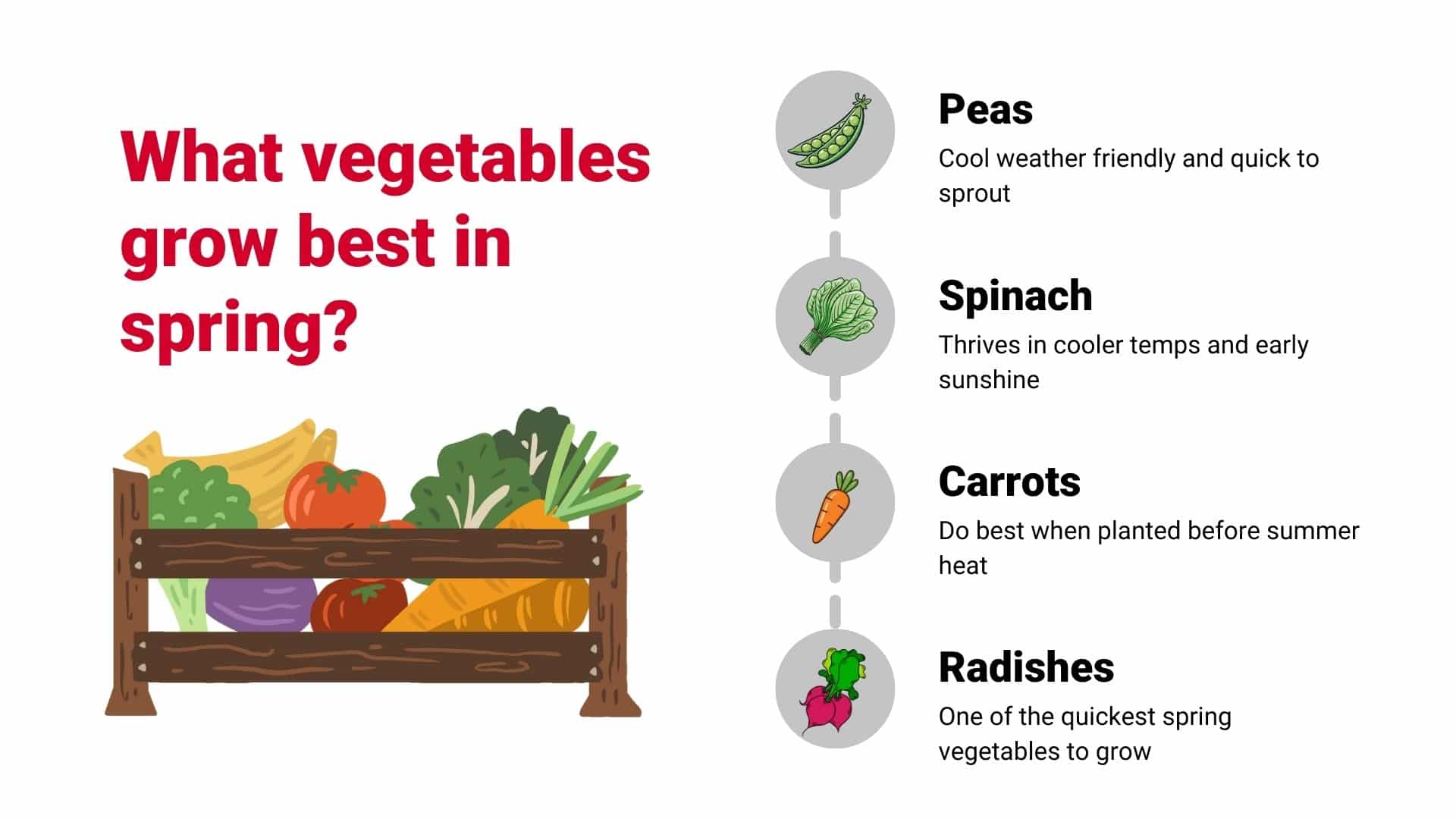 Graphic of vegetables that grow best in spring