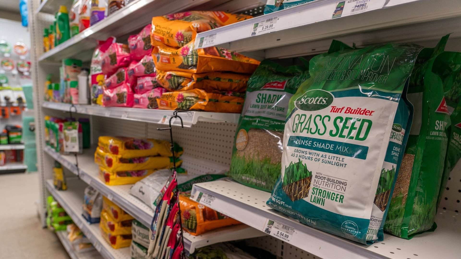 Shelf at Timberline Ace that has spring garden essentials.