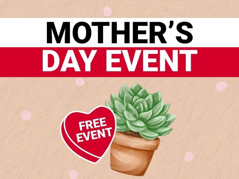 Mother’s Day planting event graphic with succulent and free event promotion