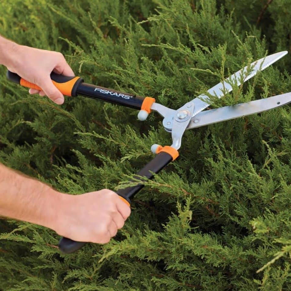 Fiskars hedge shears trimming green shrubs in backyard