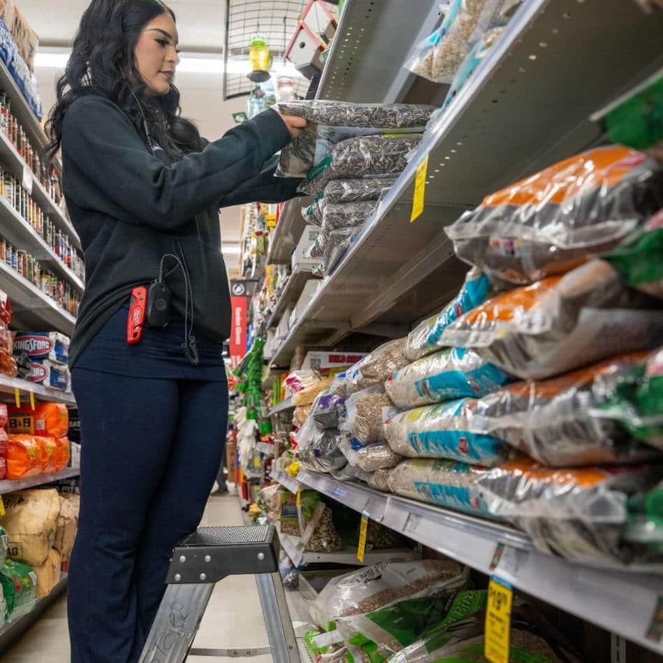 Team member stocking bird seed and wildlife supplies at Timberline Ace Hardware of Carbondale