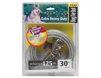 Collars & Leashes Collars & Leashes