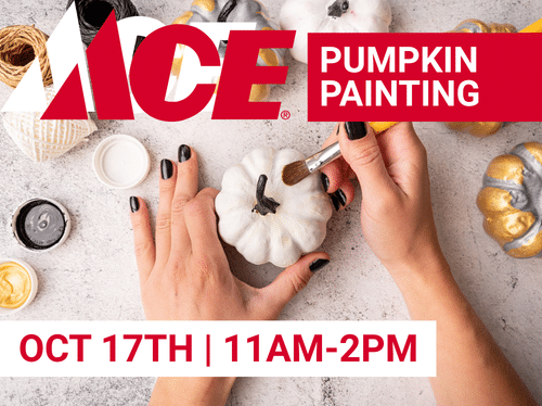 Pumpkin Painting Event Image