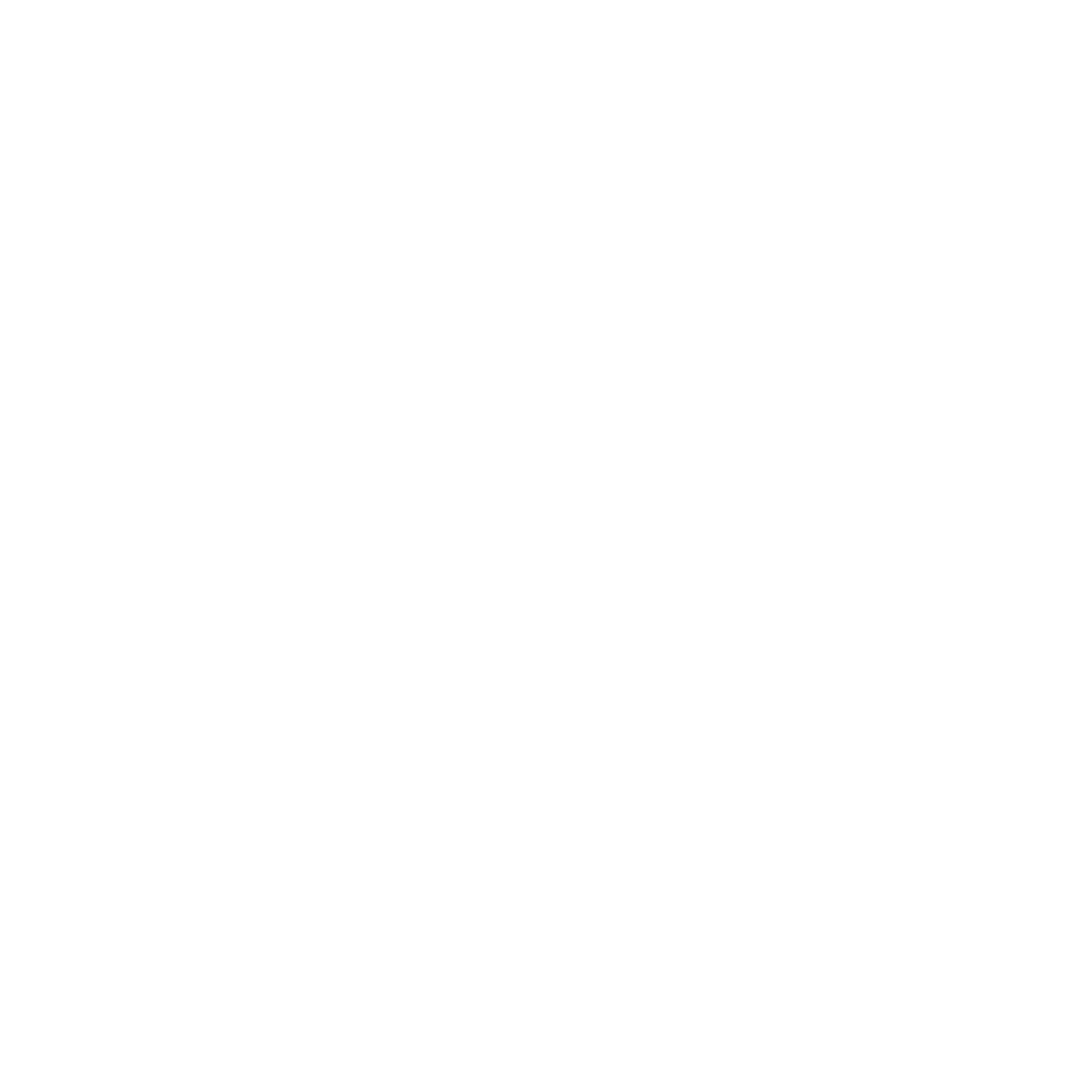 Timberline Ace White Logo